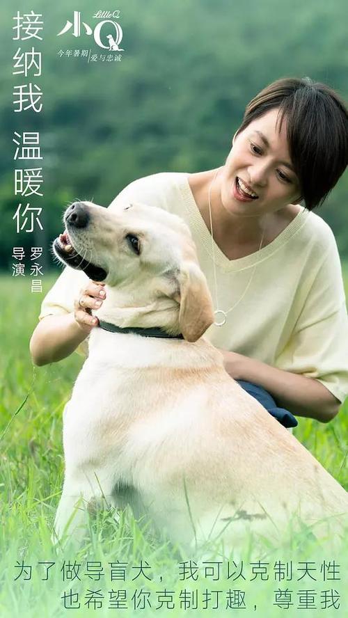 加州ID买个多少钱